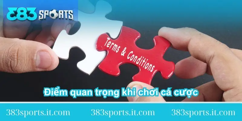diem quan trong khi choi ca cuoc tai 383sports 1 diem-quan-trong-khi-choi-ca-cuoc-tai-383sports