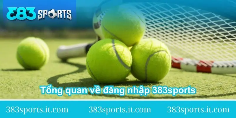 quan-vot-co-the-cuoc-theo-set-hoac-toan-tran