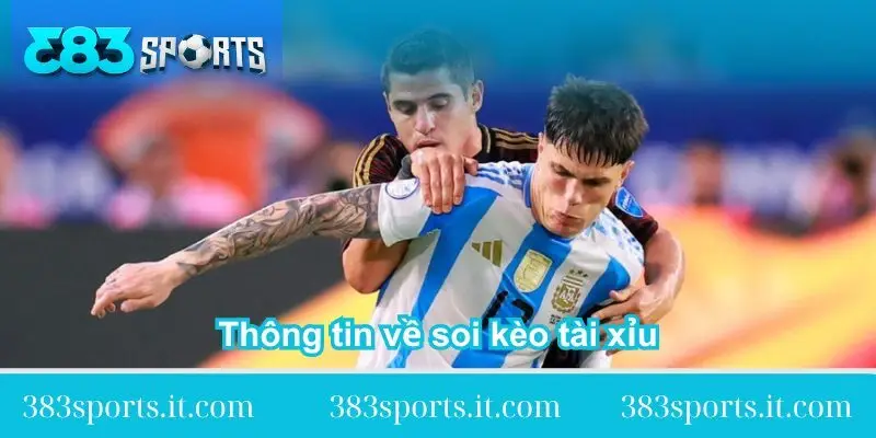 thong tin so net ve soi keo tai thong-tin-so-net-ve-soi-keo-tai-xiu