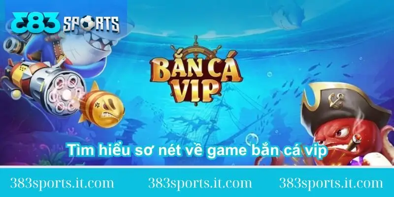 tim-hieu-so-net-ve-game-ban-ca-vip