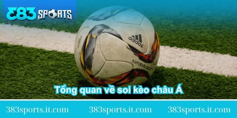 tong-quan-ve-kinh-nghiem-soi-keo-chau-a