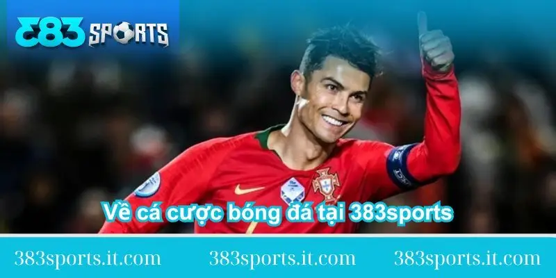 ve-ca-cuoc-bong-da-tai-383sports